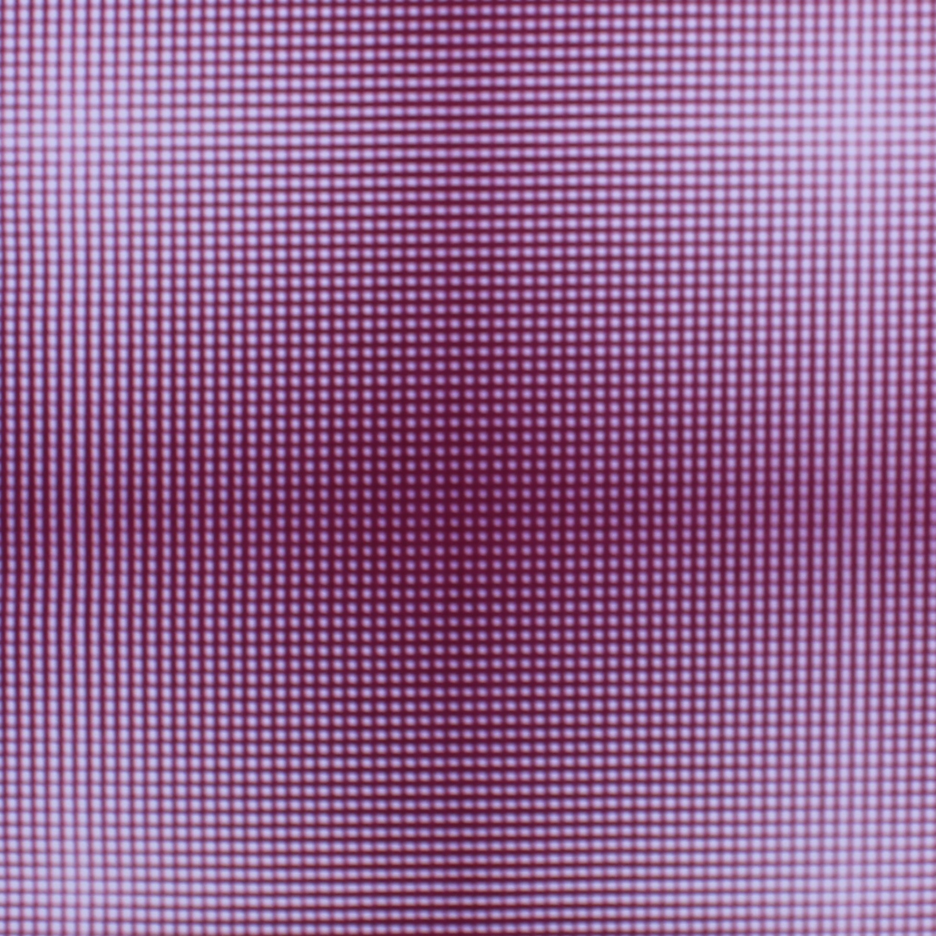 Disco